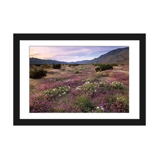 iCanvas "Sand Verbena And Primrose Blooming, Anza-Borrego Desert State
